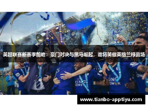 英超联赛新赛季前瞻：豪门对决与黑马崛起，谁将笑傲英格兰绿茵场