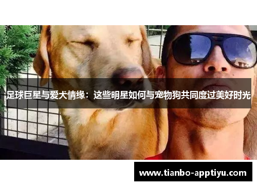 足球巨星与爱犬情缘：这些明星如何与宠物狗共同度过美好时光